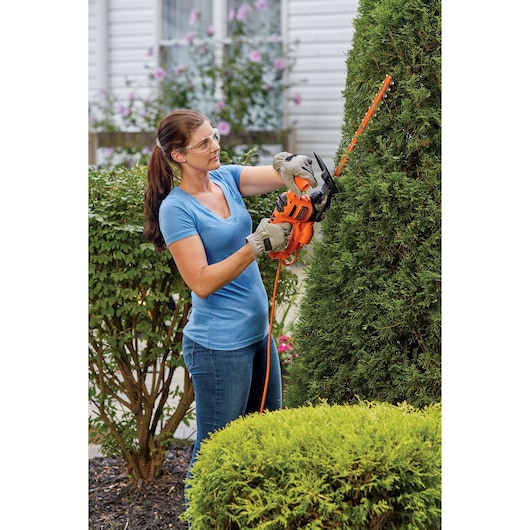 Photo of BLACK+DECKER hedge trimmer BEHT150 in use, orange unit trimming a tall bush in a garden.