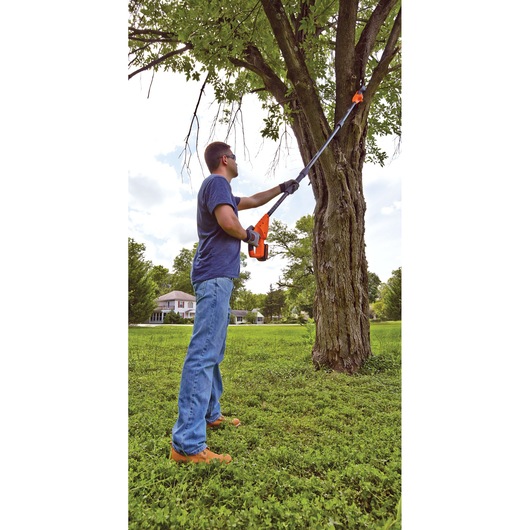 Photo of BLACKDECKER LPP120 pole saw trimming a tree branch outdoors in a grassy yard.