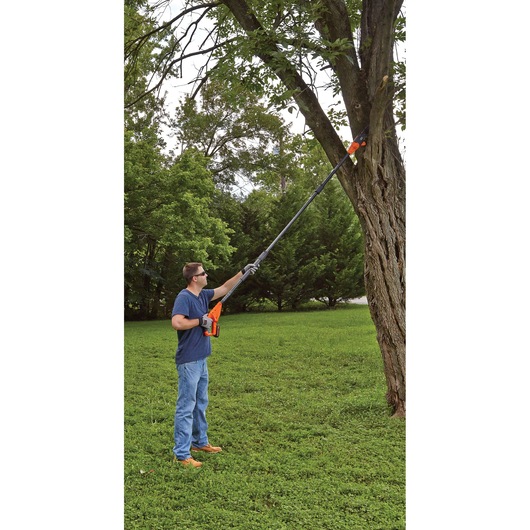 Photography of BLACKDECKER LPP120 cordless pole saw trimming tree branches outdoors.